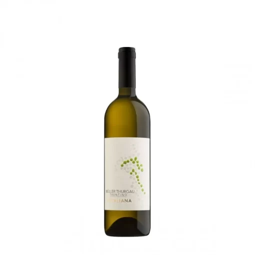 Muller Thurgau DOC 37,5 cl